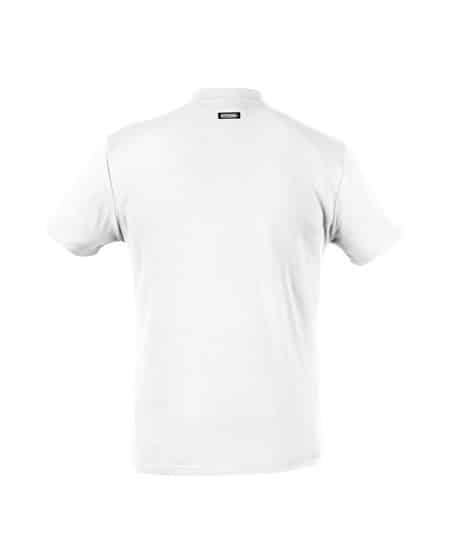 color_back-oscar-wit