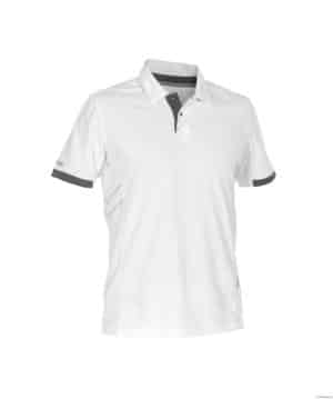 Schilders Polo's
