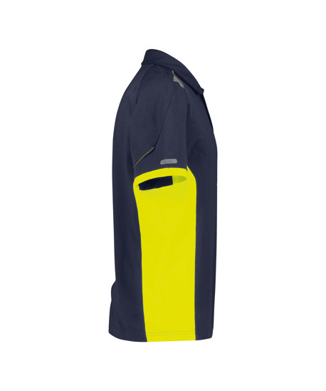 Dassy Signaal Polo - Veracruz