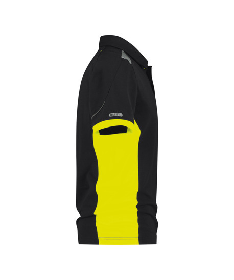 Dassy Signaal Polo - Veracruz